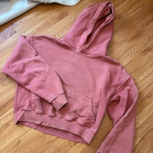 TNA Aritzia boyfriend hoodie
